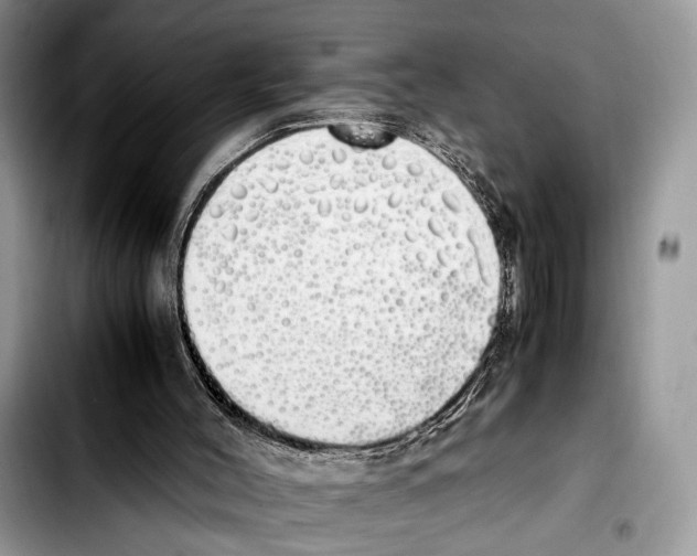X0000103430004200810101053