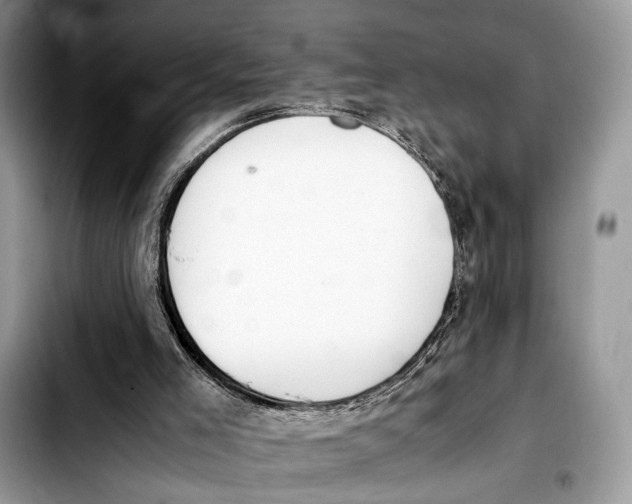 X0000103430005200810101053