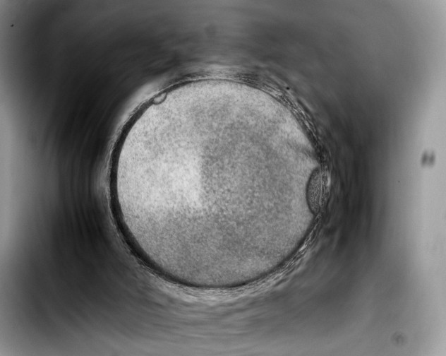 X0000103430006200810101053