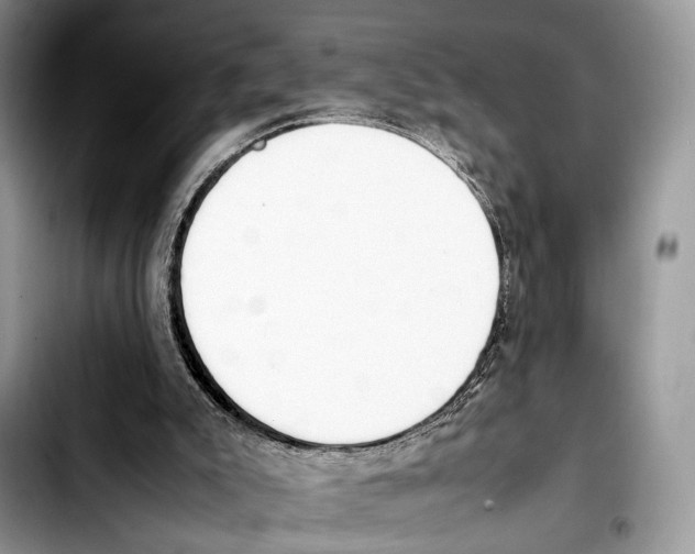 X0000103430007200810101053