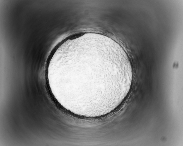X0000103430008200810101053