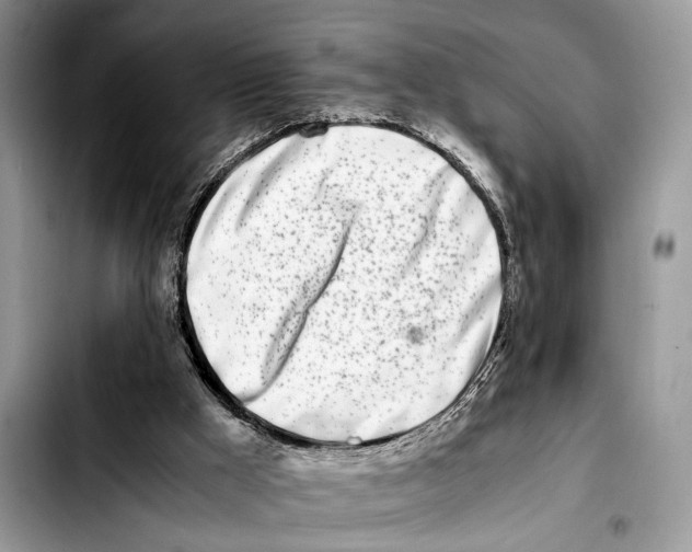 X0000103430009200810101053
