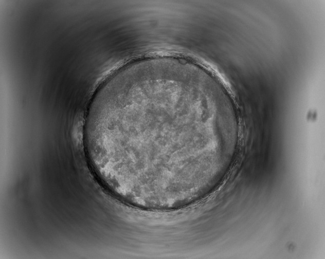 X0000103430010200810101053