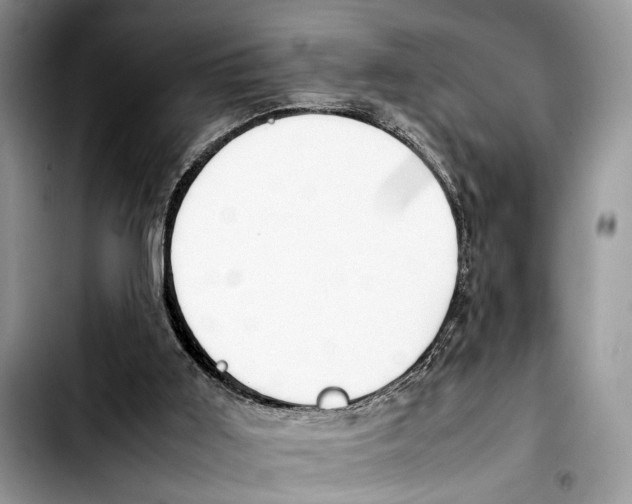 X0000103430011200810101053