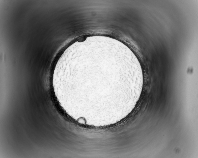 X0000103430012200810101053