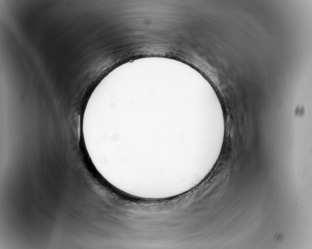 X0000103430013200810101053