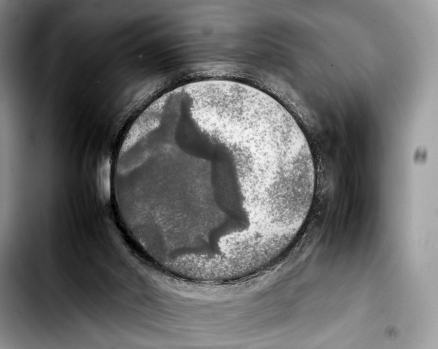 X0000103430014200810101053