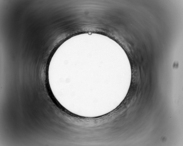 X0000103430015200810101053