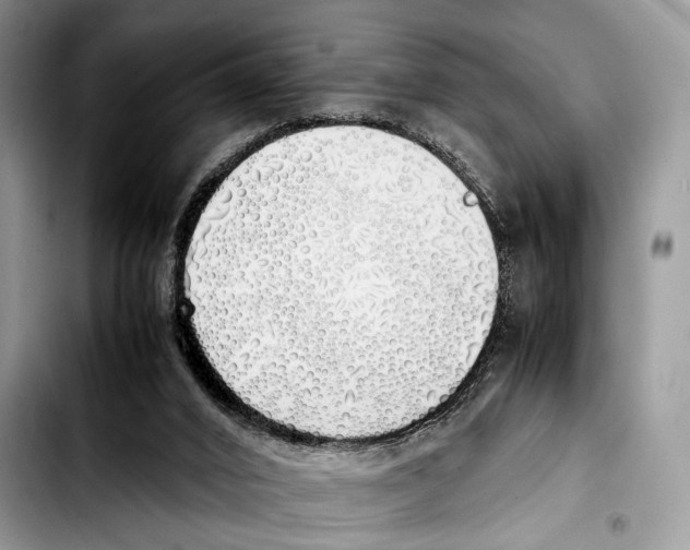 X0000103430016200810101053