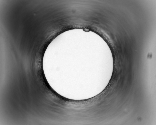 X0000103430017200810101053