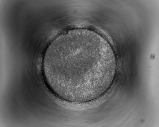 X0000103430018200810101053