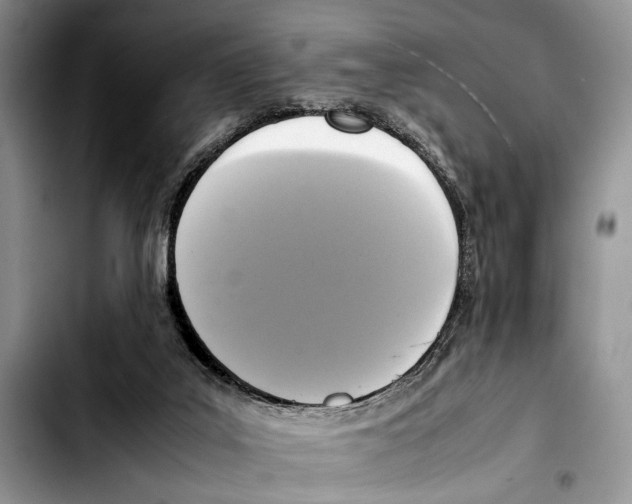 X0000103430019200810101052