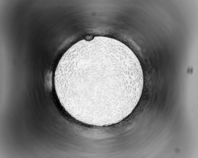 X0000103430020200810101052