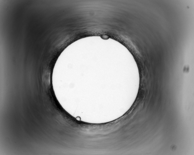 X0000103430021200810101052
