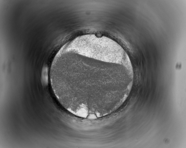 X0000103430022200810101052