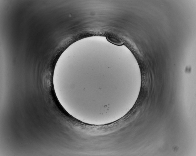 X0000103430023200810101052