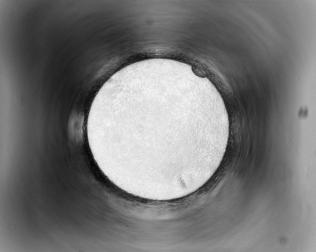 X0000103430024200810101052