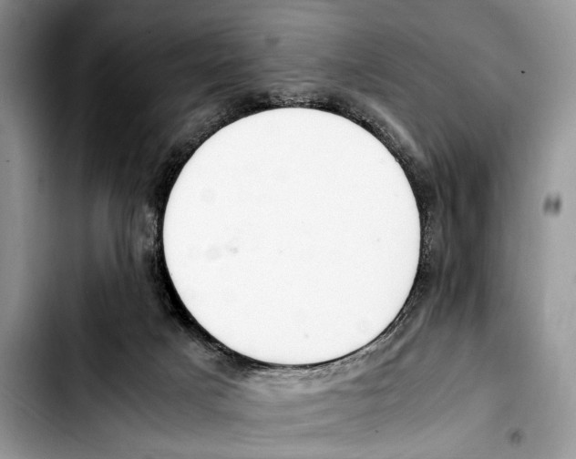 X0000103430025200810101052