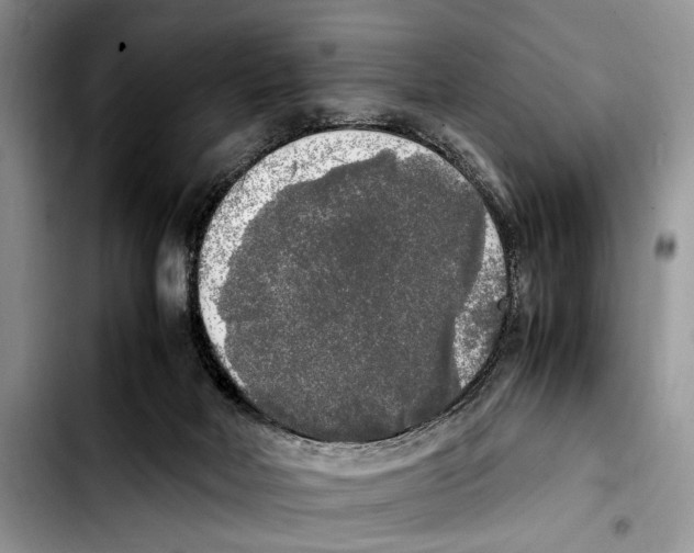 X0000103430026200810101052