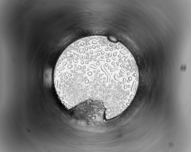 X0000103430028200810101052