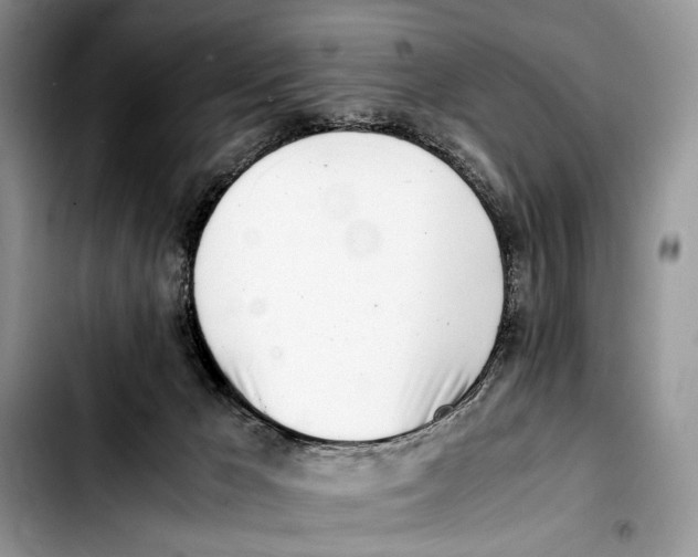 X0000103430029200810101052