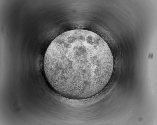 X0000103430030200810101052