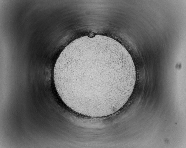 X0000103430032200810101052