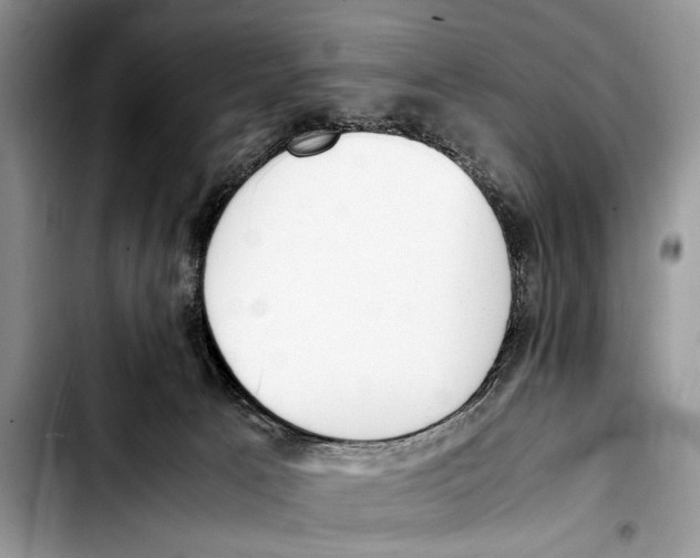 X0000103430033200810101052