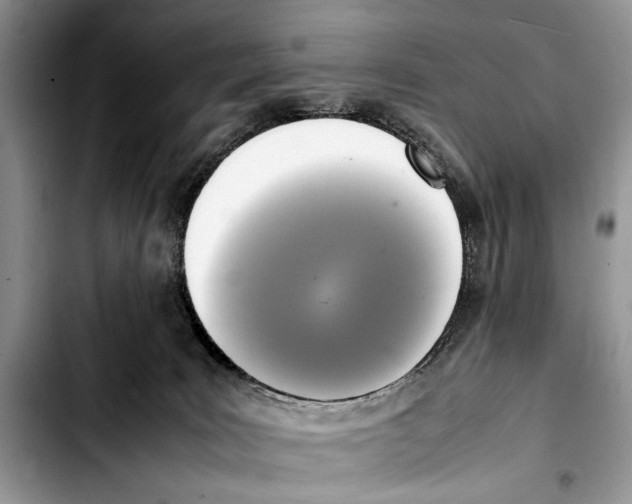 X0000103430035200810101052