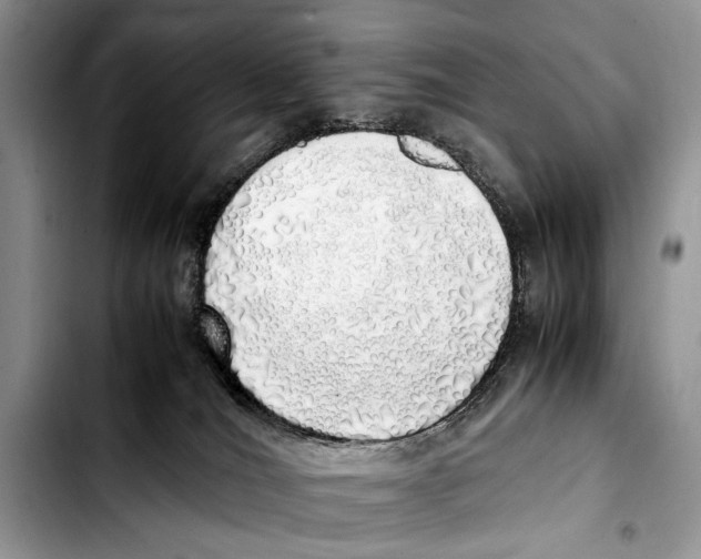 X0000103430036200810101052