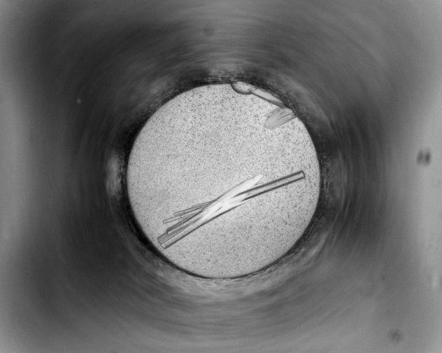 X0000103430038200810101052