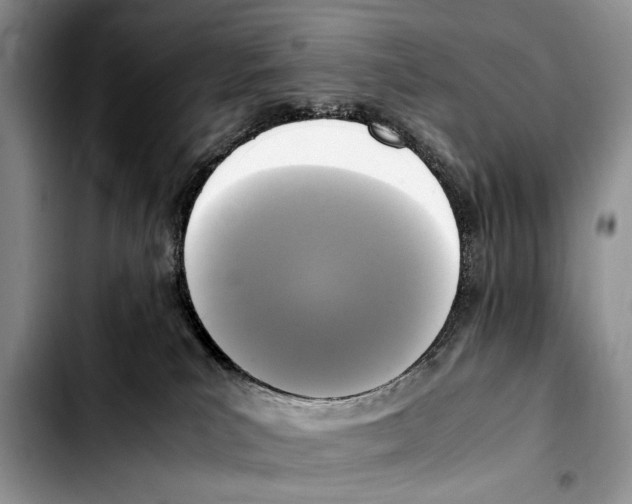 X0000103430039200810101052