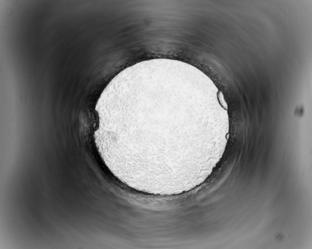 X0000103430040200810101052