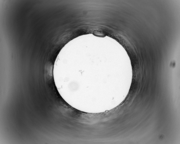 X0000103430041200810101052