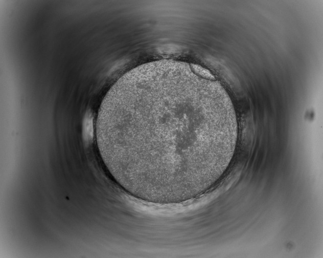 X0000103430042200810101052