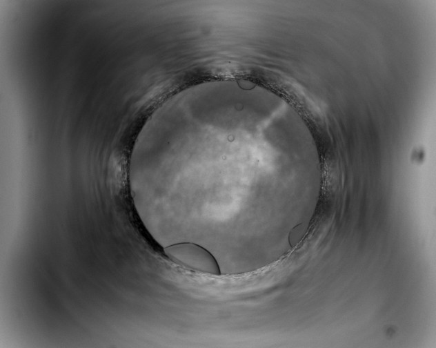 X0000103430043200810101052