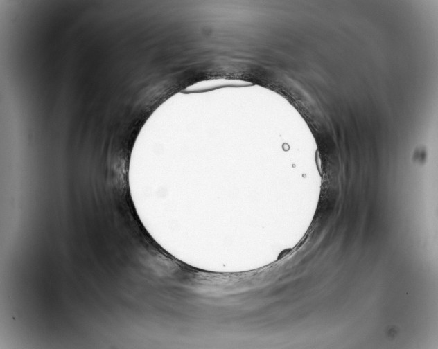 X0000103430045200810101052