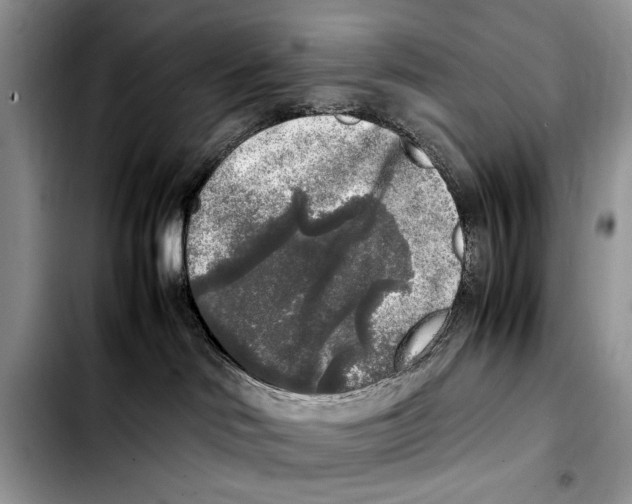 X0000103430046200810101052