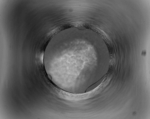 X0000103430047200810101052