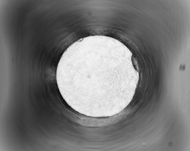 X0000103430048200810101052