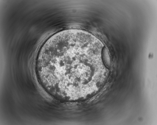 X0000103430049200810101051