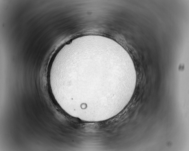 X0000103430050200810101051