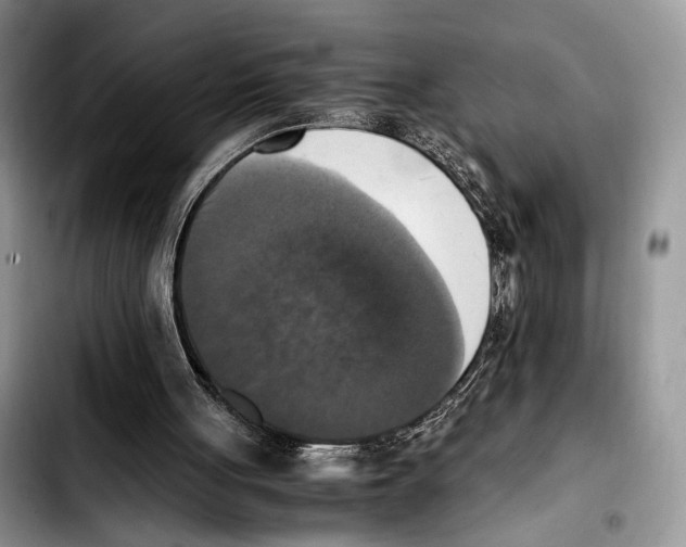 X0000103430051200810101051