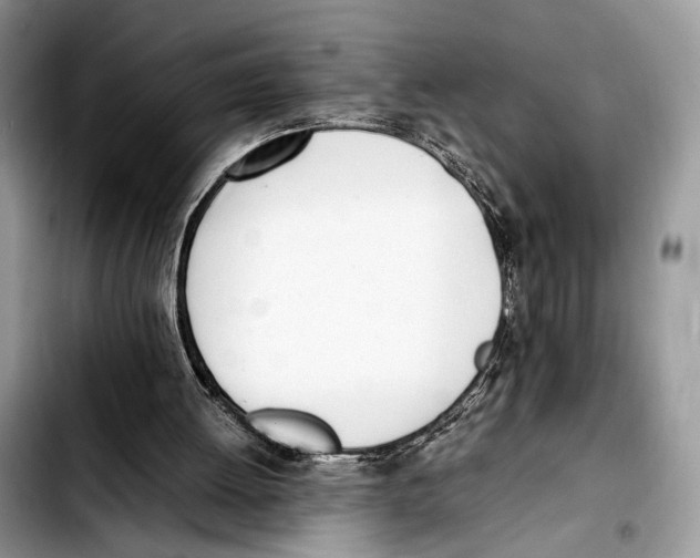 X0000103430052200810101051