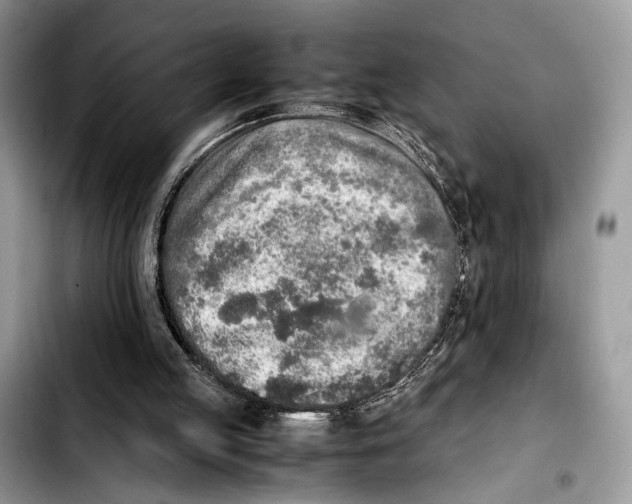 X0000103430053200810101051