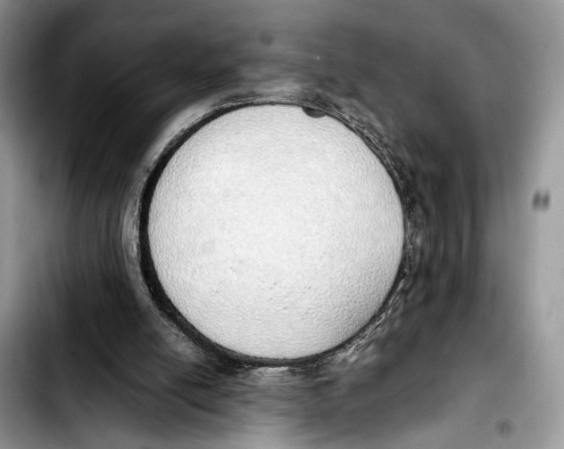 X0000103430054200810101051