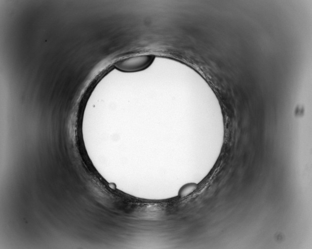 X0000103430056200810101051