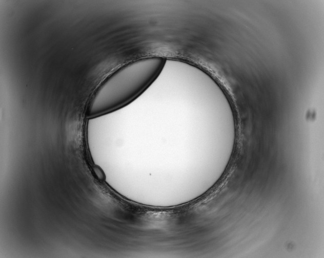 X0000103430057200810101051