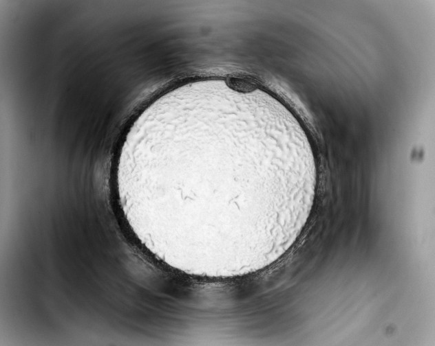X0000103430058200810101051