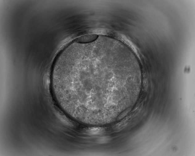 X0000103430059200810101051